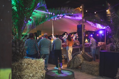 Fraym 381 A7C0177113 september 2025.jpg